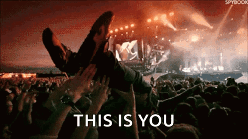 A Person Is Being Lifted In The Air At A Concert With The Words This Is You Below Them GIF