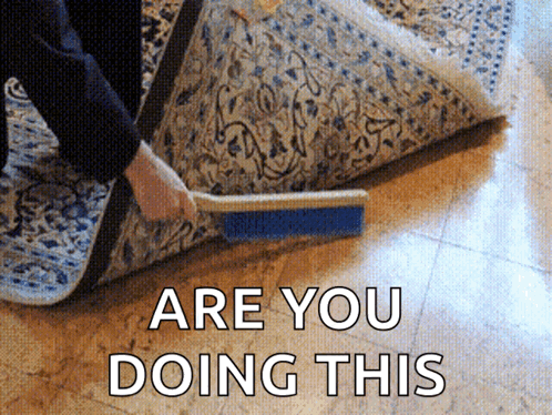 A Person Is Brushing A Rug With The Words Are You Doing This Below It GIF