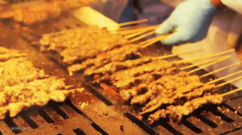 A Person Is Cooking Meat On Skewers On A Grill GIF