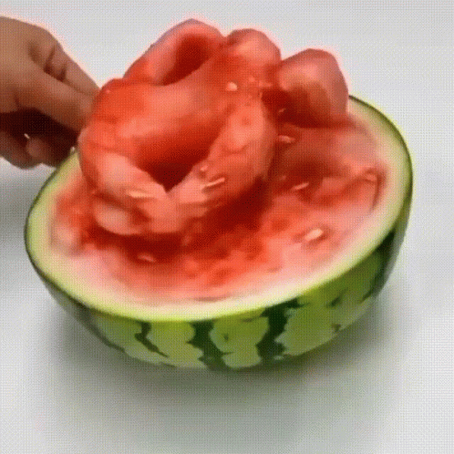 A Person Is Cutting A Watermelon Into Pieces On A Table . GIF