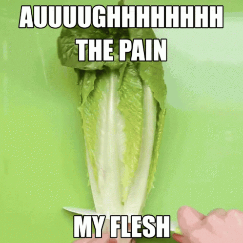 A Person Is Cutting Lettuce With The Words " The Pain My Flesh " On The Bottom GIF