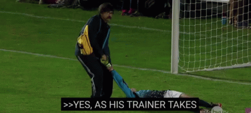 A Person Is Doing A Handstand On A Soccer Field With The Words Gazelle Through The Serengeti Above Them GIF