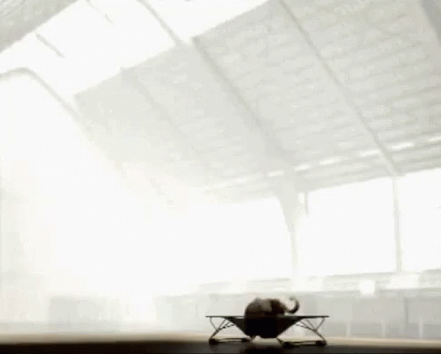 A Person Is Doing A Trick On A Table In Front Of A Window . GIF