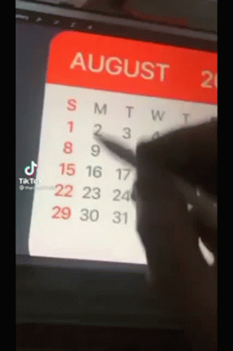 A Person Is Drawing A Calendar For August 20 GIF