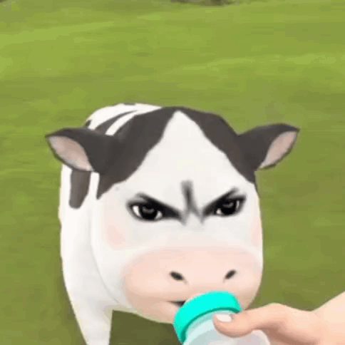 a person is feeding a cow a bottle of milk while it looks angry .