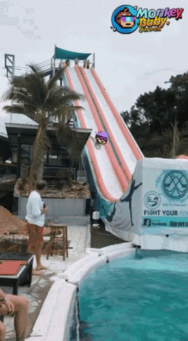 A Person Is Going Down A Water Slide With A Sign That Says Fight Your Monkey GIF