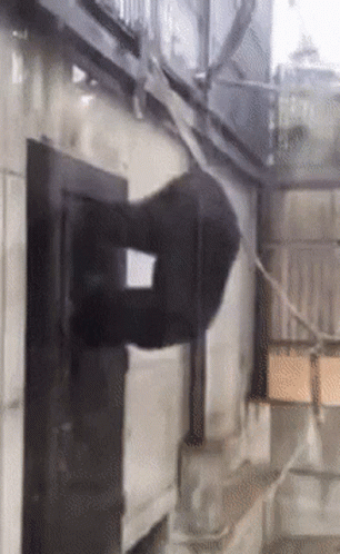 A Person Is Hanging Upside Down On A Rope On A Wall GIF