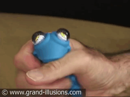 A Person Is Holding A Blue Toy With Googly Eyes And The Website Grand-Illusions.com Is Visible In The Background GIF