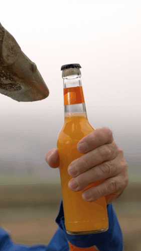 A Person Is Holding A Bottle Of Orange Juice In Their Hand GIF