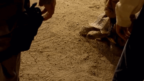 A Person Is Holding A Bottle Of Water In Their Hand In The Dirt . GIF