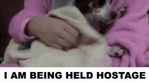 A Person Is Holding A Cat In Their Arms And The Words I Am Being Held Hostage Are Above Them . GIF