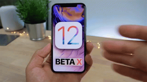 A Person Is Holding A Cell Phone With Beta X On The Screen GIF