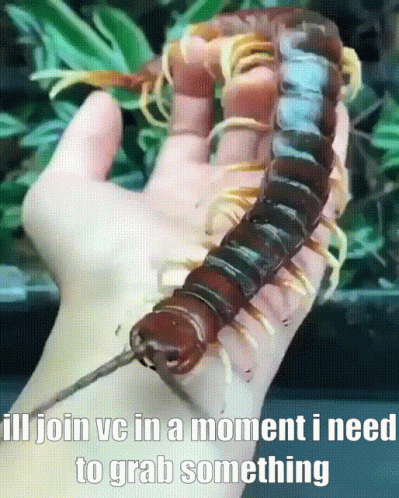 A Person Is Holding A Centipede In Their Hand With The Caption " Ill Join Vc In A Moment I Need To Grab Something " GIF