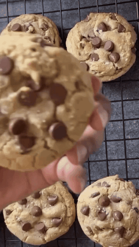 A Person Is Holding A Chocolate Chip Cookie In Front Of A Cooling Rack GIF