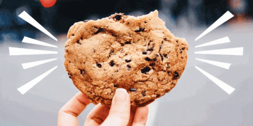 A Person Is Holding A Chocolate Chip Cookie In Their Hand GIF