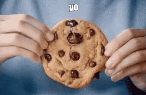 A Person Is Holding A Chocolate Chip Cookie In Their Hands With A Bite Taken Out Of It . GIF