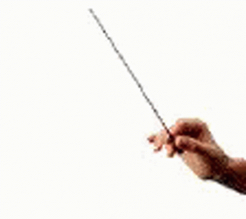 A Person Is Holding A Conductor 'S Baton In Their Hand . GIF