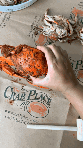 A Person Is Holding A Crab In Front Of A Crab Place Bag GIF
