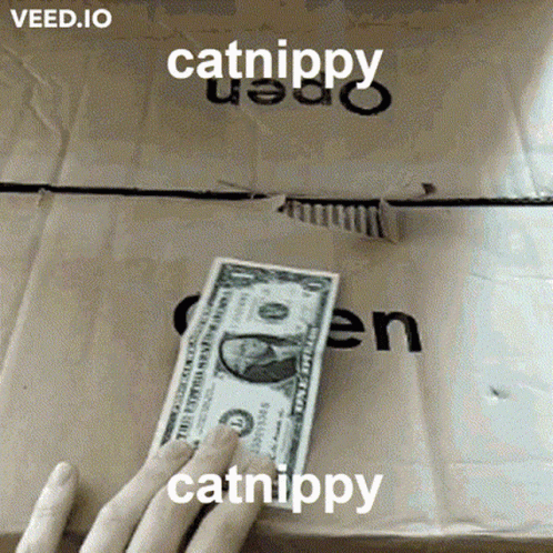 A Person Is Holding A Dollar Bill In Front Of A Cardboard Box With Catnippy Written On It GIF