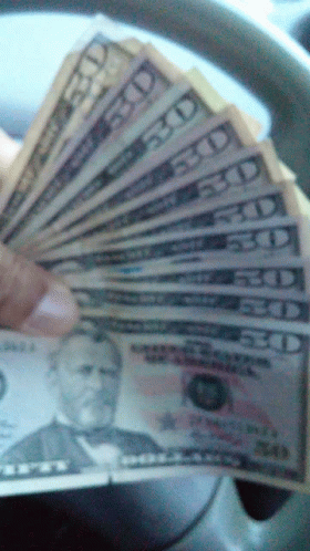 A Person Is Holding A Fan Of 20 Dollar Bills In Their Hand GIF