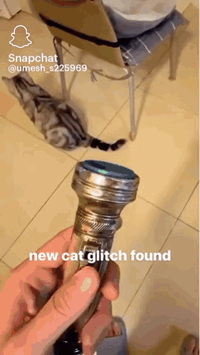 A Person Is Holding A Flashlight In Their Hand With The Words New Cat Glitch Found Below It GIF