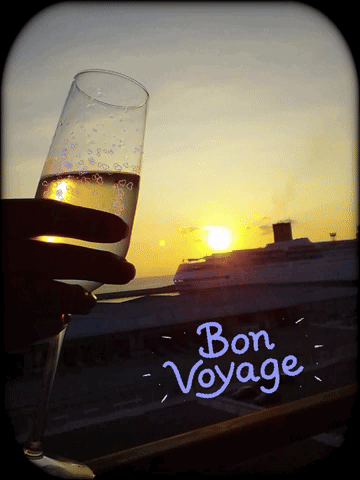 A Person Is Holding A Glass Of Wine With The Words Bon Voyage Written On The Bottom GIF