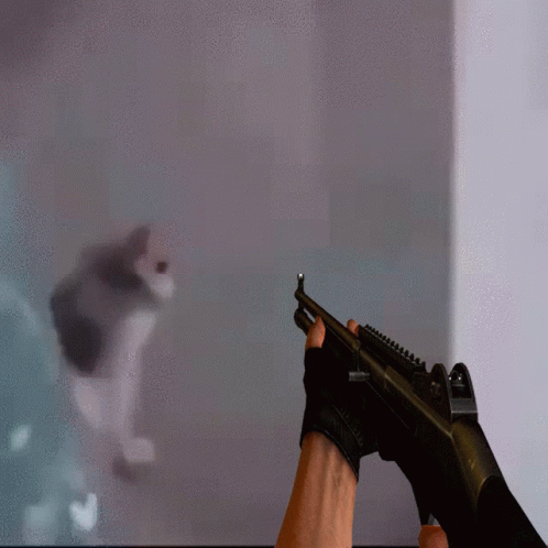 A Person Is Holding A Gun With A Blurred Image In The Background GIF