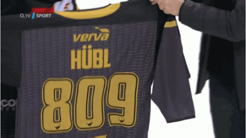 Person Holding Verva Hubl Jersey GIF