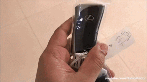 A Person Is Holding A Lexus Key Fob In A Plastic Bag GIF