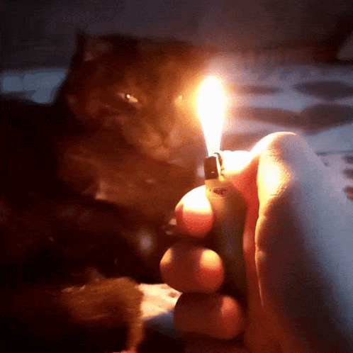 A Person Is Holding A Lighter With A Bic Logo On It GIF