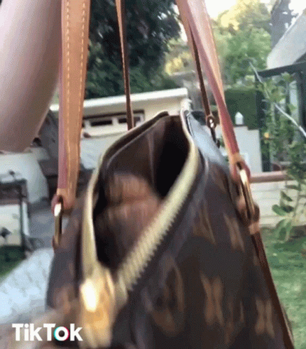 A Person Is Holding A Louis Vuitton Purse With A Zipper GIF