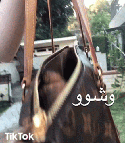 A Person Is Holding A Louis Vuitton Purse With A Zipper Open . GIF