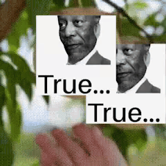 A Person Is Holding A Picture Of A Man With The Words True On It GIF