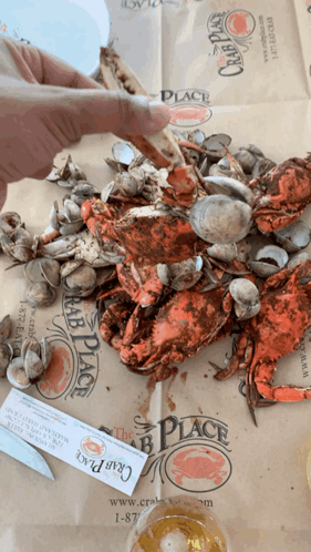 A Person Is Holding A Piece Of Paper That Says The Crab Place On It GIF