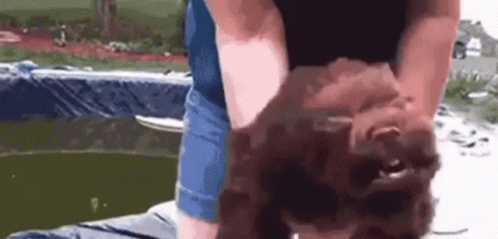A Person Is Holding A Piggy Bank In Front Of A Pond . GIF