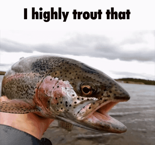 A Person Is Holding A Rainbow Trout With The Words I Highly Trout That Above It GIF