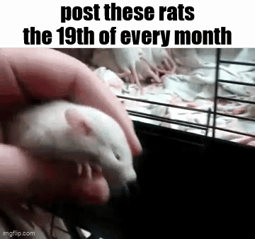 A Person Is Holding A Rat In Their Hand And A Cage Of Rats Is Behind Them . GIF
