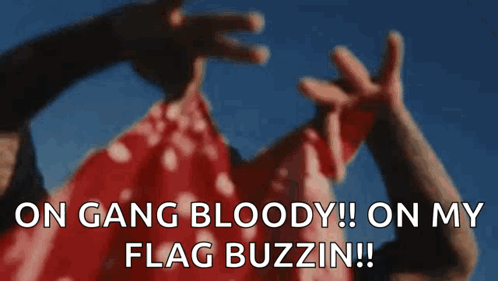 A Person Is Holding A Red Flag With The Words `` On Gang Bloody !! On My Flag Buzzin !! '' GIF