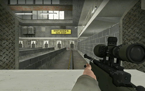 A Person Is Holding A Rifle In Front Of A Sign That Says Whittaker 'S Gun Shop GIF