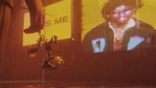 A Person Is Holding A Rose In Front Of A Sign That Says ' Kiss Me ' GIF