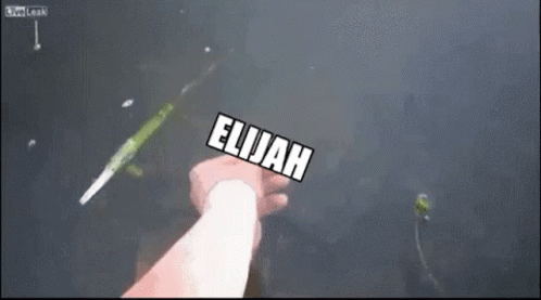 A Person Is Holding A Sign That Says Cfgbc Elijah GIF