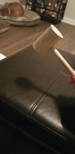 A Person Is Holding A Small Wooden Mallet In Front Of A Dog GIF