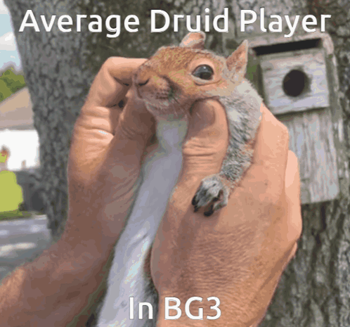 Person Holding Squirrel With BG3 Average Druid Text GIF