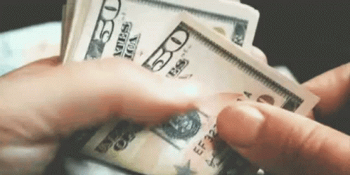A Person Is Holding A Stack Of 20 Dollar Bills In Their Hand GIF