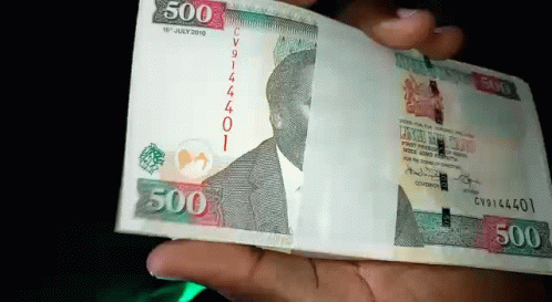 A Person Is Holding A Stack Of 500 Kenyan Shillings GIF