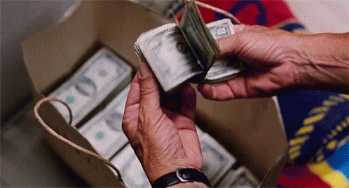 A Person Is Holding A Stack Of Money In Their Hands . GIF