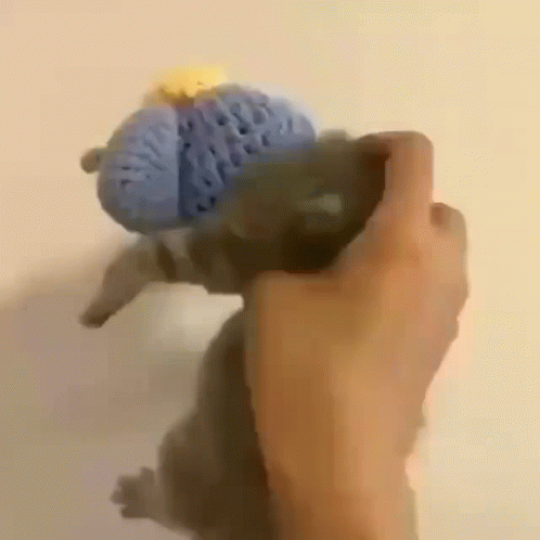 A Person Is Holding A Stuffed Animal In Their Hand GIF