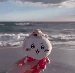 A Person Is Holding A Stuffed Animal On A Beach GIF
