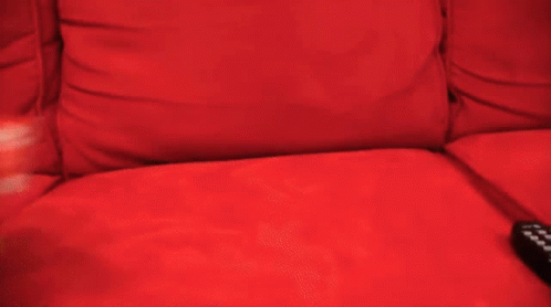 a person is holding a stuffed animal on a red couch next to a remote control