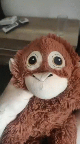 A Person Is Holding A Stuffed Monkey With Big Eyes In Their Hands . GIF